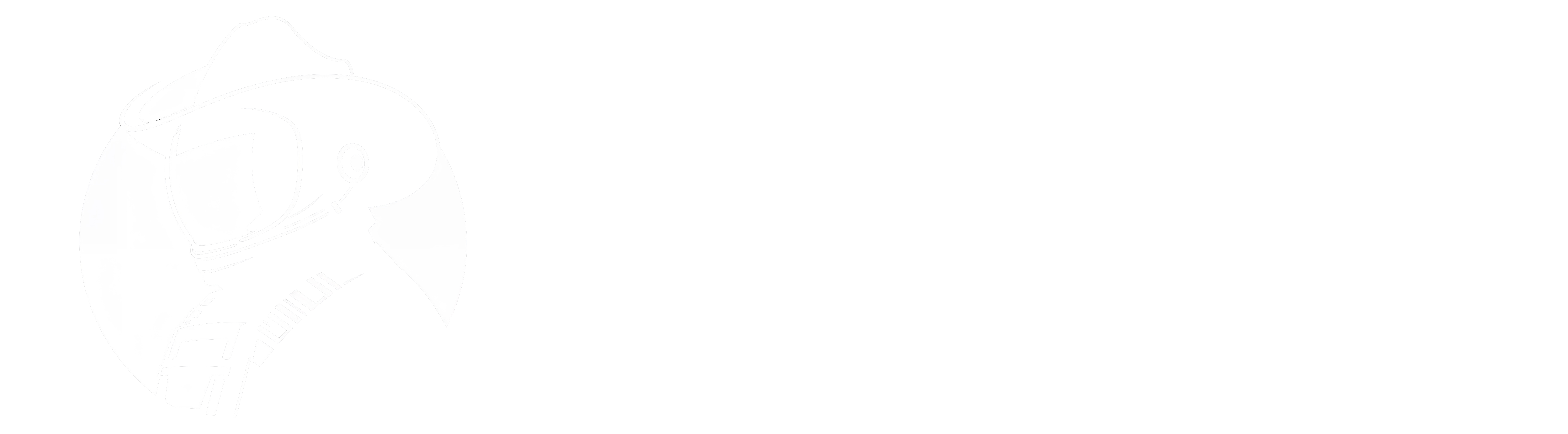 SpaceCowboy Logo